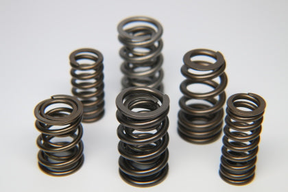 Ferrea Spring Kit Honda K20 & K24