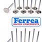 Ferrea Valves Honda K20 & K24