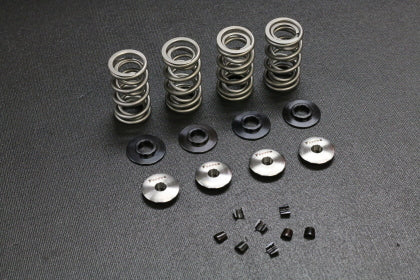 Ferrea Spring Kit Honda K20 & K24